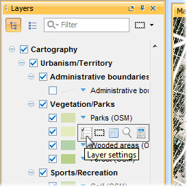 Accessing layer parameters