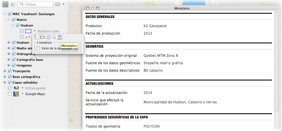 Visualización de los metadatos de una capa