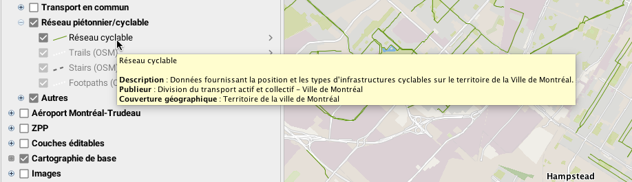 Aperçu des métadonnées d'une couche