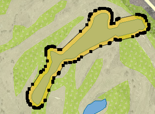 10 m buffer around a lake